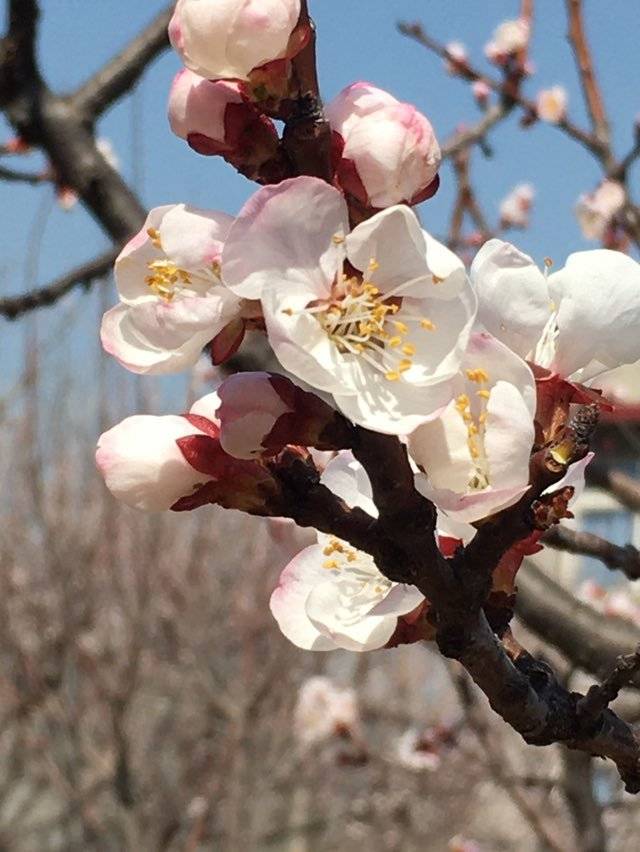 腾博会app_手机版下载
网-腾博会app新闻门户 传播品质资讯
